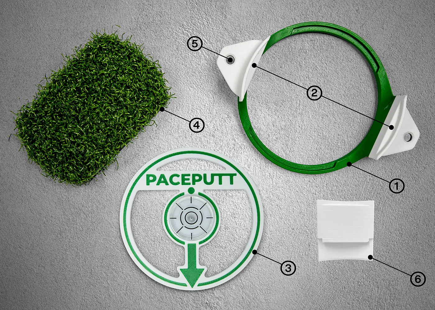 PACEPUTT™ Diagram